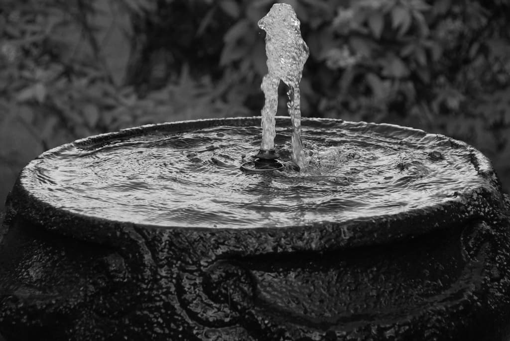 Ein Brunnen mit Pflanzen im Hintergrund.