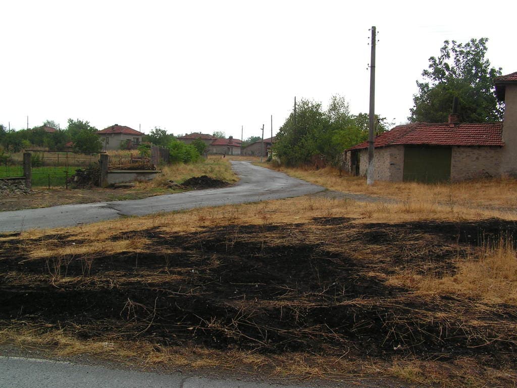 Ein Wohngebiet mit Häusern, Bäumen, Pflanzen, trockenem Gras und mehreren Pfählen.