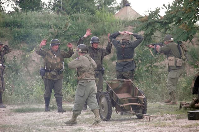 Mehrere Personen in Militäruniformen und Helmen stehen in der Nähe eines Wagens, umgeben von Pflanzen, Bäumen und Gras unter einem klaren Himmel.