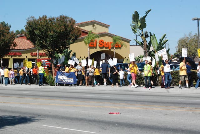 Eine Gruppe von Menschen mit Schildern, die durch den Wald gehen, mit Bäumen, Büschen, einer Fahne, einem Gebäude mit Namensschildern, Autos und aktuellen Umfragen im Hintergrund.