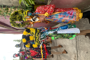 Eine Gruppe von Menschen in bunten Kostümen steht vor einem Gebäude und hält verschiedene Gegenstände, mit Bäumen, Gebäuden und einem klaren blauen Himmel im Hintergrund während eines Karnevalsumzugs.