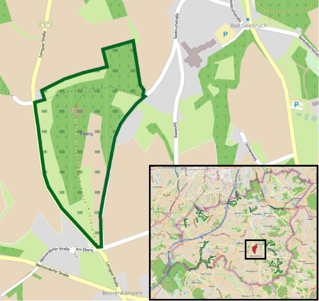 Ein detaillierter Stadtplan mit einem zentralen grünen Bereich, der als geplanter Entwicklungsstandort markiert ist, umgeben von Straßen, Gebäuden und Sehenswürdigkeiten.
