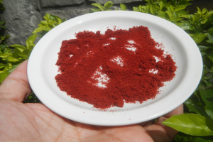 Eine Person hält eine weiße Schüssel voller roter Chilipulver, mit Pflanzen und einer Wand im Hintergrund.