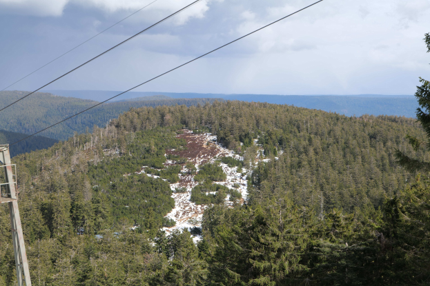Blick von der Spitze eines Skilifts auf einen schneebedeckten Wald mit einem Pfahl und Drähten im Vordergrund und einem bewölkten Himmel im Hintergrund.
