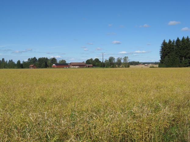 Grüne im Vordergrund mit Häusern, Bäumen, einem Mast und einem bewölkten Himmel im Hintergrund.