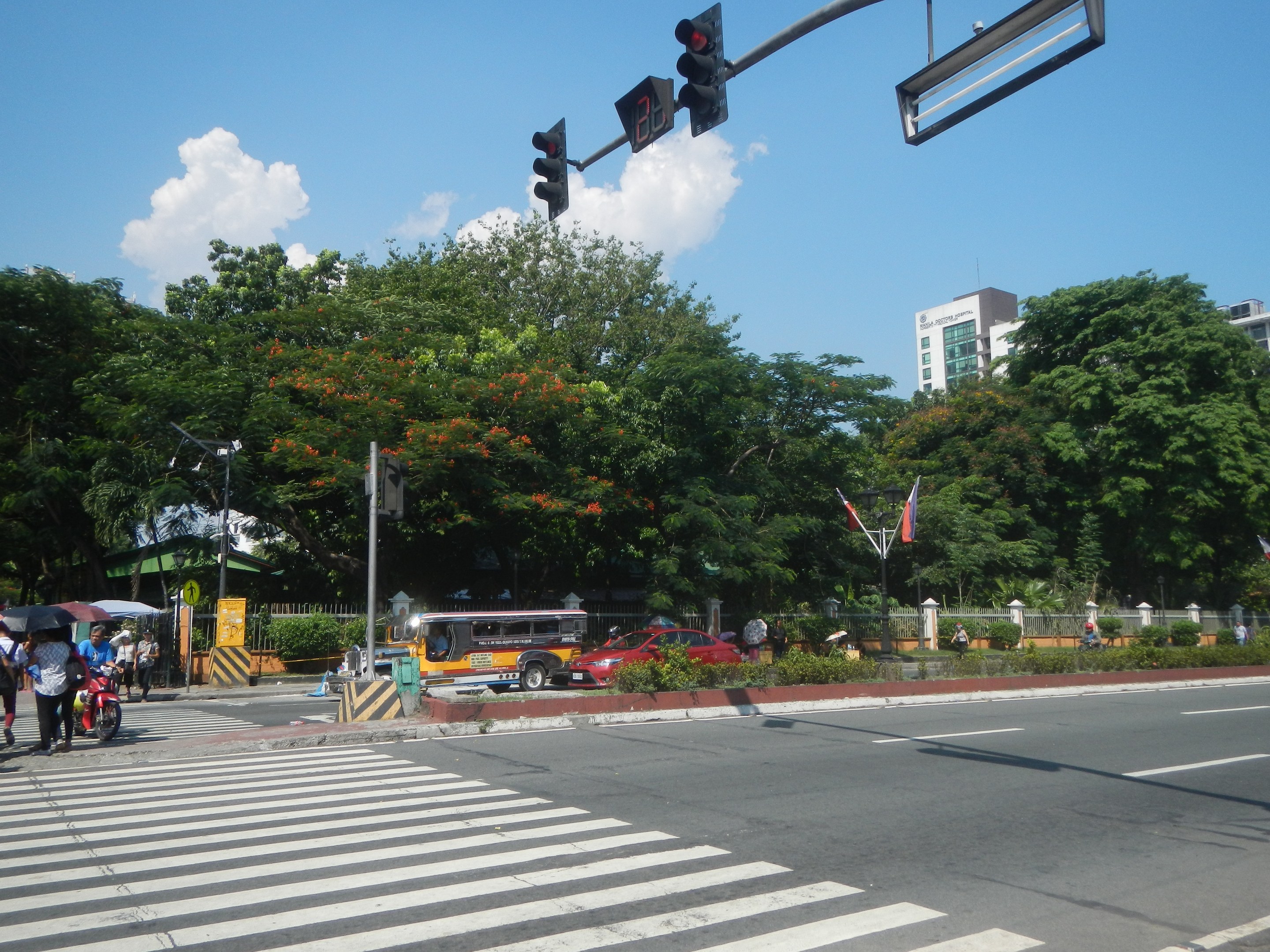 Eine Straßenkreuzung in einer Stadt mit einem Zebrastreifen und einer Ampel, mit Fahrzeugen, Fußgängern mit Schirmen auf dem Gehweg und einem Hintergrund aus Bäumen, Gebäuden und einem bewölkten Himmel.