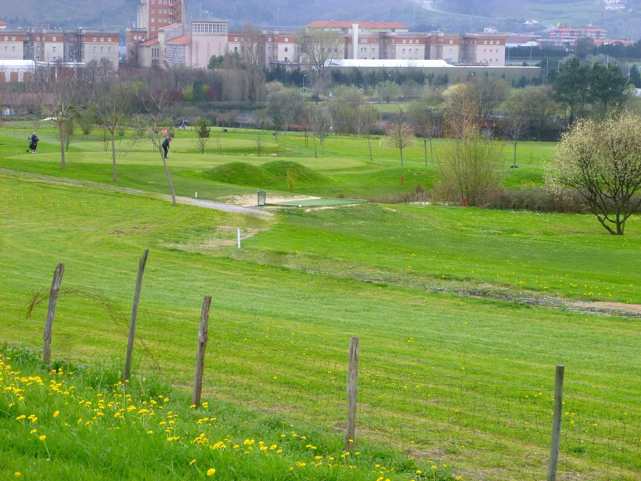 Golfplatz mit saftig grünem Gras, hohen Bäumen, gelben Blumen im Vordergrund, Gebäuden und wolkenlosem Himmel im Hintergrund sowie Menschen, die Golf spielen.