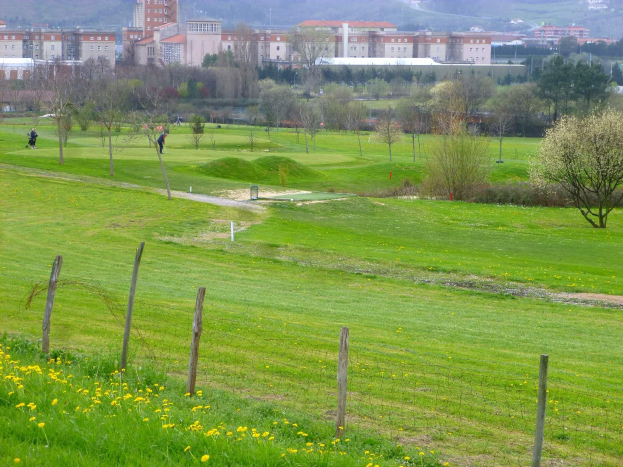 Golfplatz mit saftig grünem Gras, hohen Bäumen, gelben Blumen im Vordergrund, Gebäuden und wolkenlosem Himmel im Hintergrund sowie Menschen, die Golf spielen.