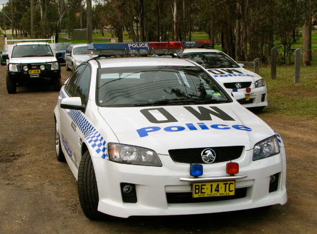 Ein Parkplatz voller Autos, umgeben von Bäumen und Pflanzen, mit Text auf einigen Fahrzeugen und einer Rasenfläche im Vordergrund.