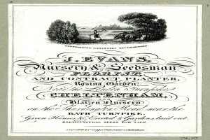 Ein altes Buch mit einem Mann in einem Garten umgeben von Bäumen und der Inschrift "J. Evans, Nursery & Seedsman, Florist and Contract Planter".