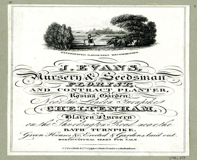 Ein altes Buch mit einem Mann in einem Garten umgeben von Bäumen und der Inschrift "J. Evans, Nursery & Seedsman, Florist and Contract Planter".
