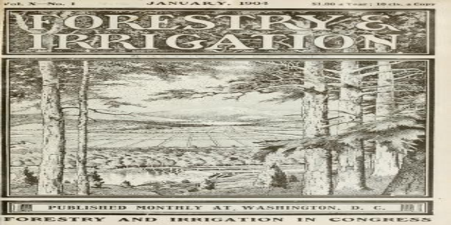 Ein Vintage-Papier aus dem Januar 1904 mit der Überschrift "Forstwirtschaft und Bewässerung" und einer Illustration von üppigen, grünen Bäumen in verschiedenen Schattierungen.