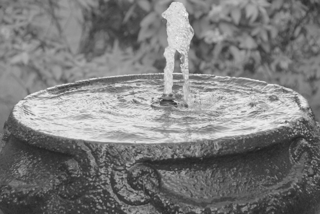 Ein Brunnen mit Pflanzen im Hintergrund.