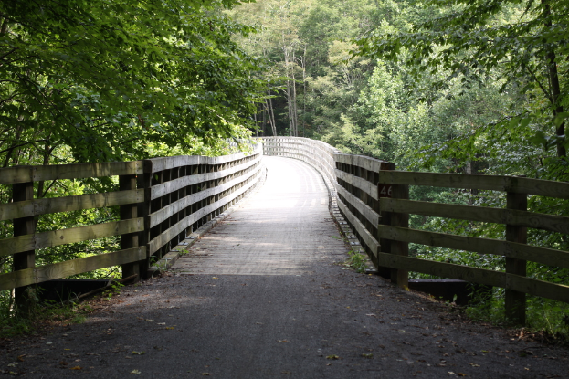 Eine hölzerne Brücke, umgeben von Bäumen mit Zweigen und Blättern.