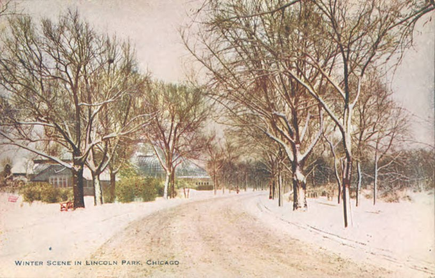 Winterszene im Lincoln Park, Chicago mit schneebedeckter Erde, Bäumen, Pflanzen, Häusern und Himmel, mit Text unten.