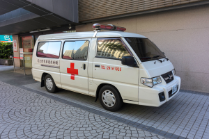 Ein Rettungswagen steht vor einem Gebäude mit einer Tafel, umgeben von Bäumen und Pflanzen.