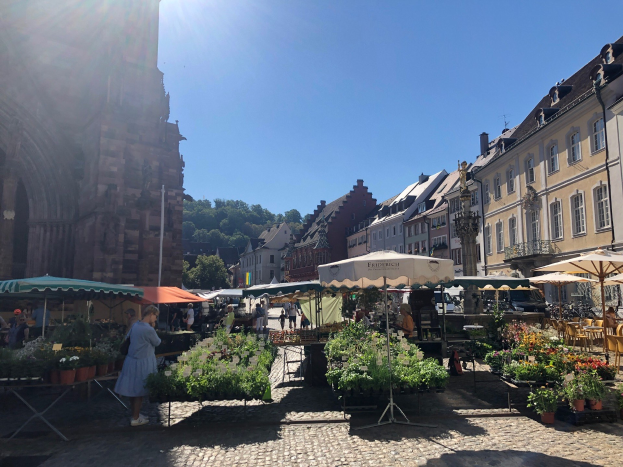 Ein belebter Markt im alten Stadtkern von Heidelberg mit Menschen an Tischen mit Blumentöpfen unter Schirmen, umgeben von Gebäuden, Bäumen und einem klaren blauen Himmel.
