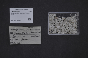 Ein kleiner Plastikbehälter mit weißen Papierfetzen steht neben einem Blatt Papier auf einer schwarzen Oberfläche.