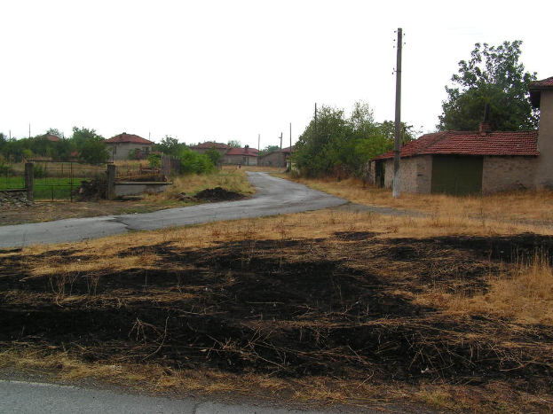 Ein Wohngebiet mit Häusern, Bäumen, Pflanzen, trockenem Gras und mehreren Pfählen.