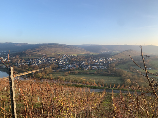 Eine malerische Aussicht auf das Rheintal von einem Hügel aus, mit grünen Blättern, Häusern und einer Brücke, die den Fluss überspannt, vor einem blauen Himmel mit Hügeln im Hintergrund.