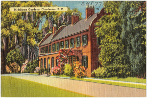 Ein animiertes Bild, das ein Gebäude und Bäume in der Mitte zeigt, mit einer Straße unten und einem Wasserzeichen oben.