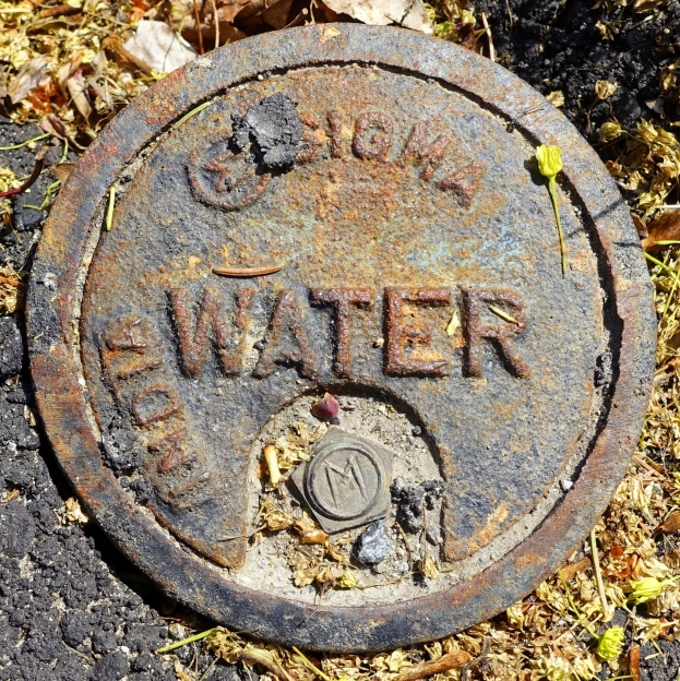 Ein Abflussdeckel mit der Aufschrift "Wasser" auf dem Boden, umgeben von trockenen Blättern und Gras.