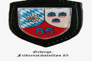 Ein rundes Abzeichen mit der Zahl 85 und deutschem Text, das das Logo des bayerischen Fußballteams darstellt.