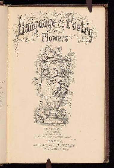 Offenes Buch mit dem Titel "Sprache und Dichtung der Blumen" (1867, Milner und Sowerby) zeigt eine Vase-Illustration mit Blumen auf dunklem Hintergrund.