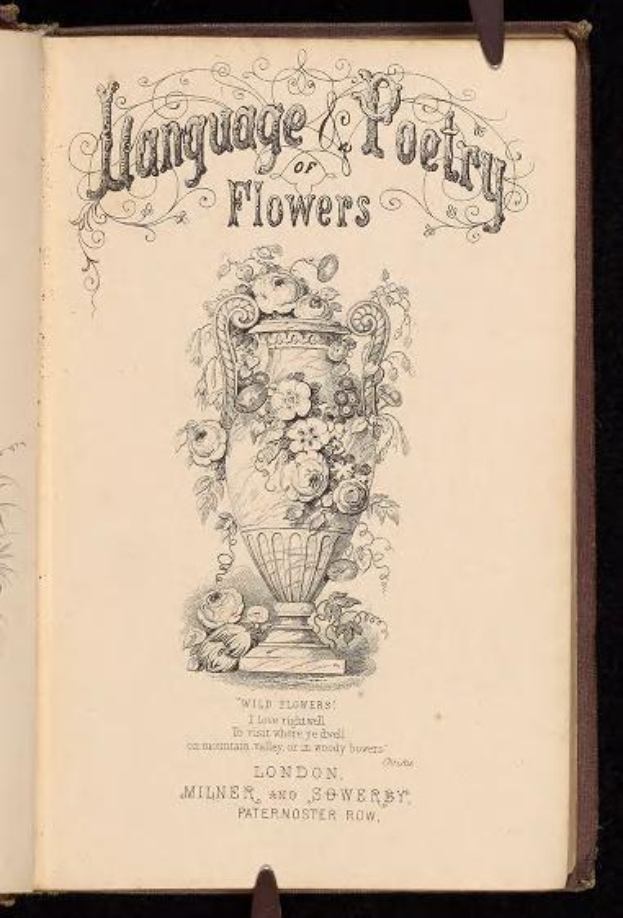 Offenes Buch mit dem Titel "Sprache und Dichtung der Blumen" (1867, Milner und Sowerby) zeigt eine Vase-Illustration mit Blumen auf dunklem Hintergrund.