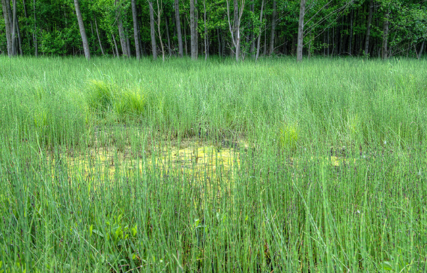 Ein landwirtschaftlicher Bauernhof mit Bäumen oben im Bild.