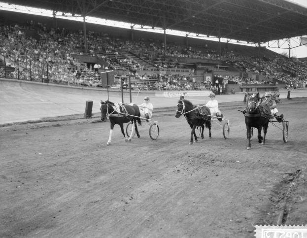 Schwarzes Bild eines Pferderennens mit Jockeys auf Pferden und Zuschauern in den Stadionrängen.