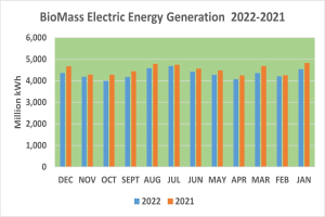 Grafik, die die Stromerzeugung aus Biomasse von 2021 bis 2022 zeigt, mit begleitendem erklärendem Text.