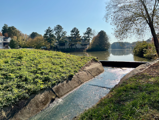 Ein kleiner Bach fließt durch eine grüne Wiese neben einem Gewässer, mit Bäumen und Pflanzen auf beiden Seiten, Gebäuden im Hintergrund und einem klaren blauen Himmel überall.