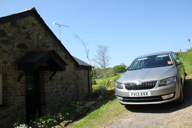Rechts sieht man ein Auto, Pflanzen, einen Strommast, Gras und Erde. Links sieht man Pflanzen, Blumen, Bäume, Zaun, ein Haus und einen Mast unter einem sonnigen Himmel.
