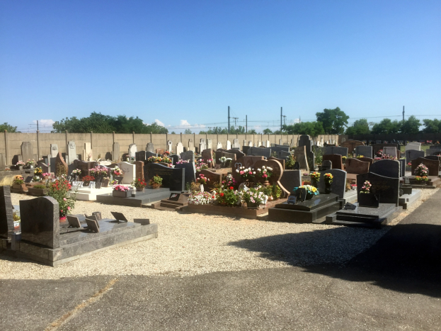 Ein Friedhof mit zahlreichen Grabsteinen, die mit Blumen geschmückt sind, eine entfernte Wand, Strommasten mit Drähten, verstreute Bäume und ein bewölkter Himmel.