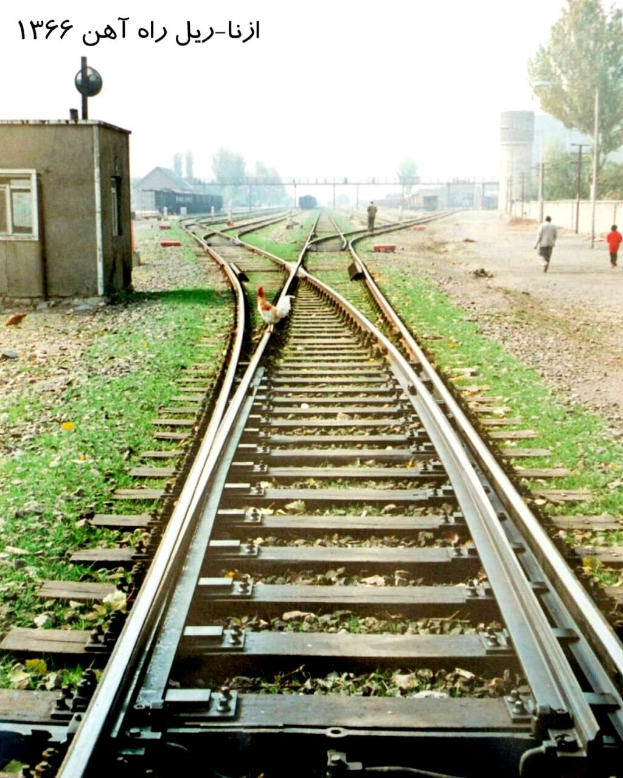 Ein Vogel sitzt auf einem Bahnsteig, umgeben von Gras und Steinen, mit Menschen in der Nähe, Bäumen, Pfählen, Gebäuden und dem Himmel im Hintergrund und Text oben.
