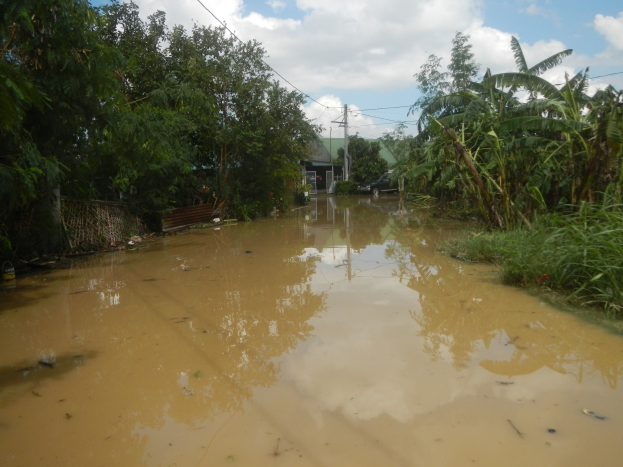 Überschwemmte Landstraße mit Wasser, das die Straße, Pflanzen und Bäume auf beiden Seiten bedeckt, ein Auto auf der rechten Seite geparkt und beschädigte Häuser, Pfähle und Drähte im Hintergrund unter einem bewölkten Himmel.