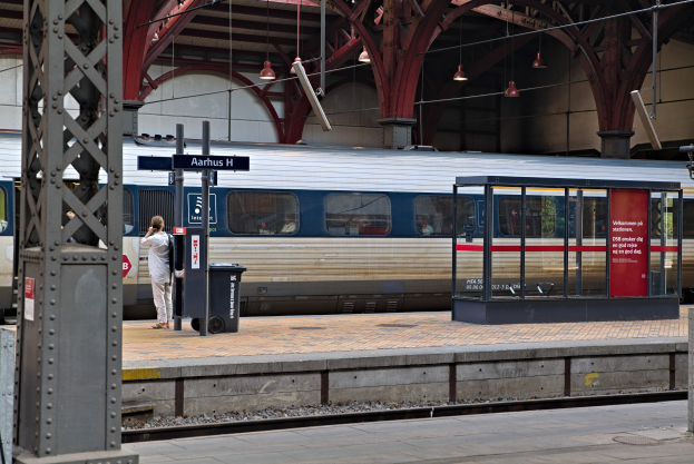 Ein Zug fährt auf einem Bahnsteig ein, mit einer Person in der Nähe, einem Müllcontainer, Stützen, Informationsanzeigen und Deckenleuchten.