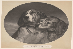 Ein Schwarz-Weiß-Foto von zwei Hunden, darunter ein Bluthund, mit einer Kette um den Hals, und Text unten.