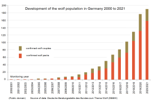 Eine Liniengrafik zeigt den Anstieg der Wolfsbevölkerung in Deutschland von 2000 bis 2021, mit begleitendem Text, der zusätzliche Datendetails bereitstellt.