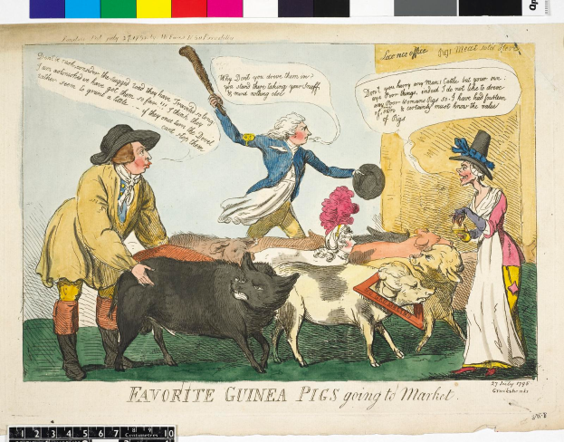 Ein Cartoon, der eine Gruppe von Menschen in traditioneller Kleidung und verschiedene Meerschweinchen-Arten zeigt, mit dem Text "Lieblings-Meerschweinchen auf dem Markt" darüber.