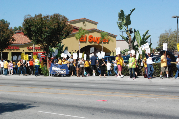 Eine Gruppe von Menschen mit Schildern, die durch den Wald gehen, mit Bäumen, Büschen, einer Fahne, einem Gebäude mit Namensschildern, Autos und aktuellen Umfragen im Hintergrund.
