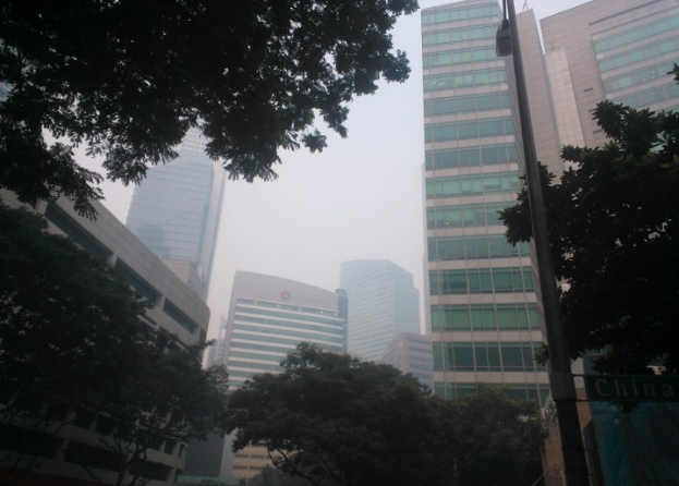 Eine Stadtstraße mit hohen Gebäuden im Hintergrund, umgeben von Bäumen und einem Pfahl mit einer Tafel, unter einem nebligen, smogverseuchten Himmel.