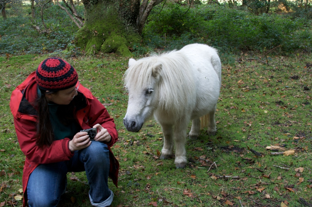 Eine Person in einer roten Jacke hält eine Kamera, mit einem Tier und Bäumen im Hintergrund.