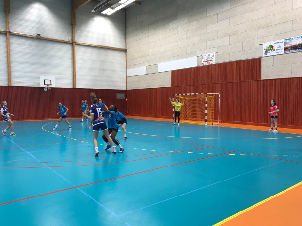 Eine Gruppe von Menschen spielt Handball in einer Turnhalle mit einem Tor, Netz, Bannern und Deckenleuchten.